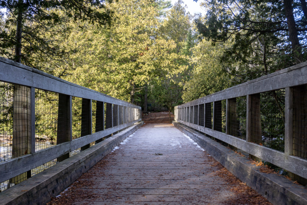 A wooden bridge in Bruce Peninsula National Park