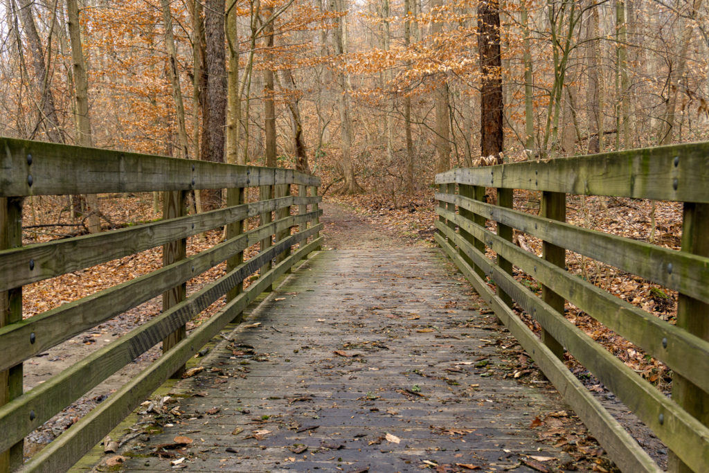Wooden bridge in in Cuyahoga Valley National Park