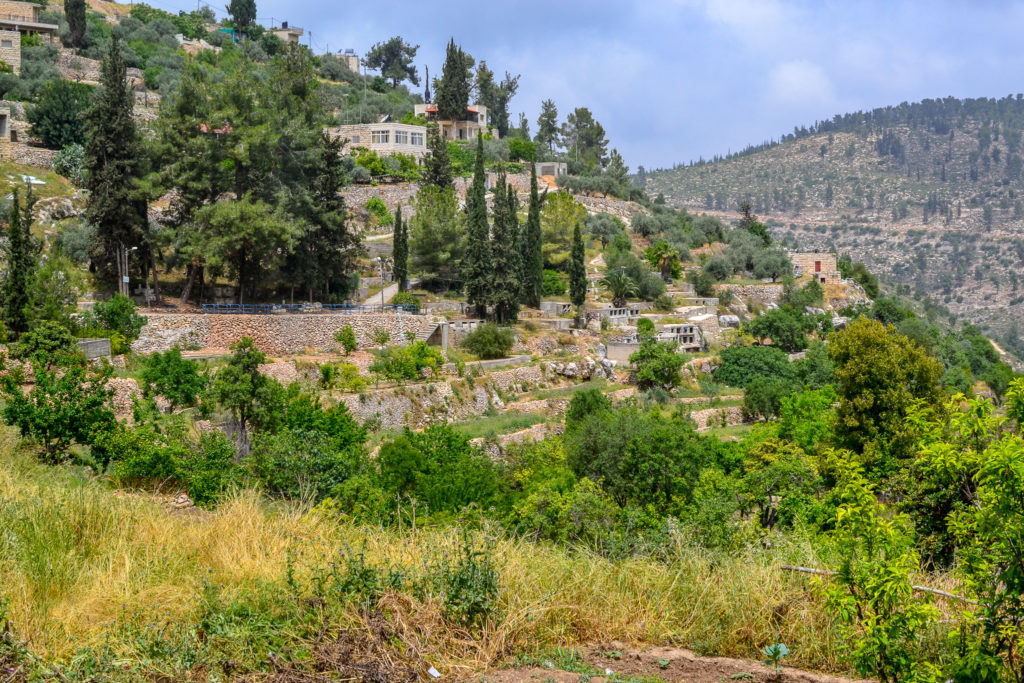 The village of Battir in Palestine, with its ancient stone terraces. 