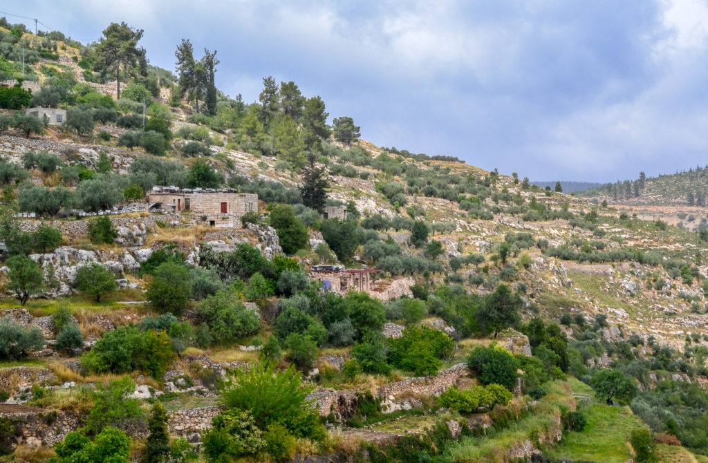 The stone terraces of Battir in Palestine.