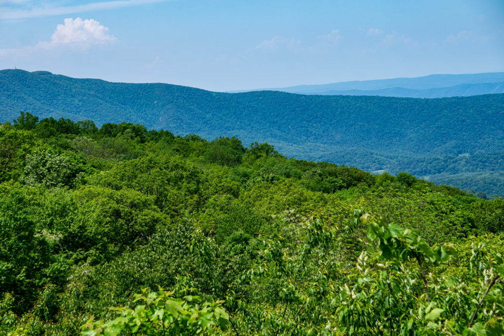 The Blue Ridge Mountains, as seen from Shenandoah National Park.
