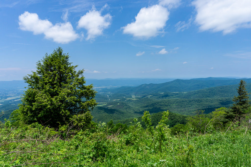 Gorgeous views of the surrounding region are abundant from Shenandoah National Park's Skyline Drive.