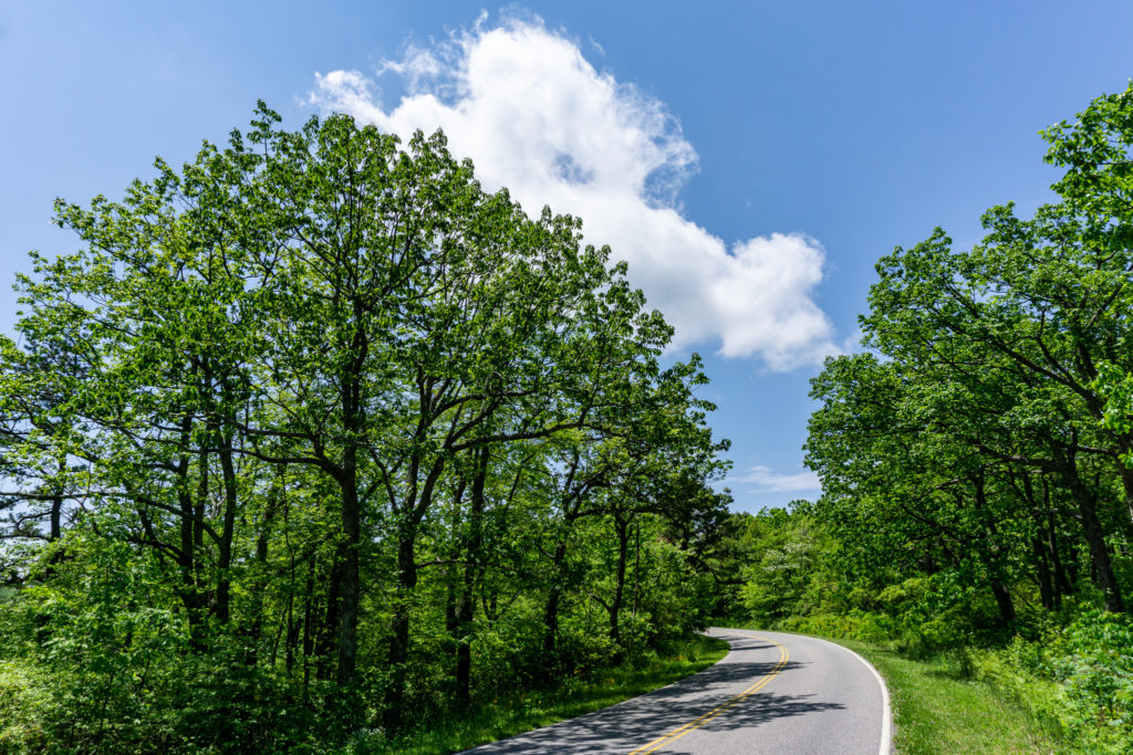 Skyline Drive is the main road that runs the length of Shenandoah National Park.