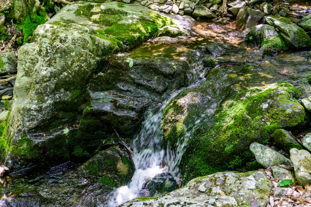 Water flows peacefully down-stream in Virginia's Shenandoah National Park.